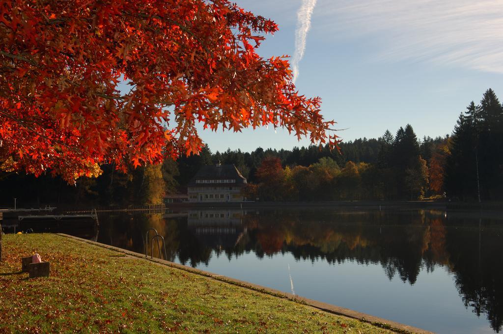 Hotel Waldsee Lindenberg im Allgau Εξωτερικό φωτογραφία