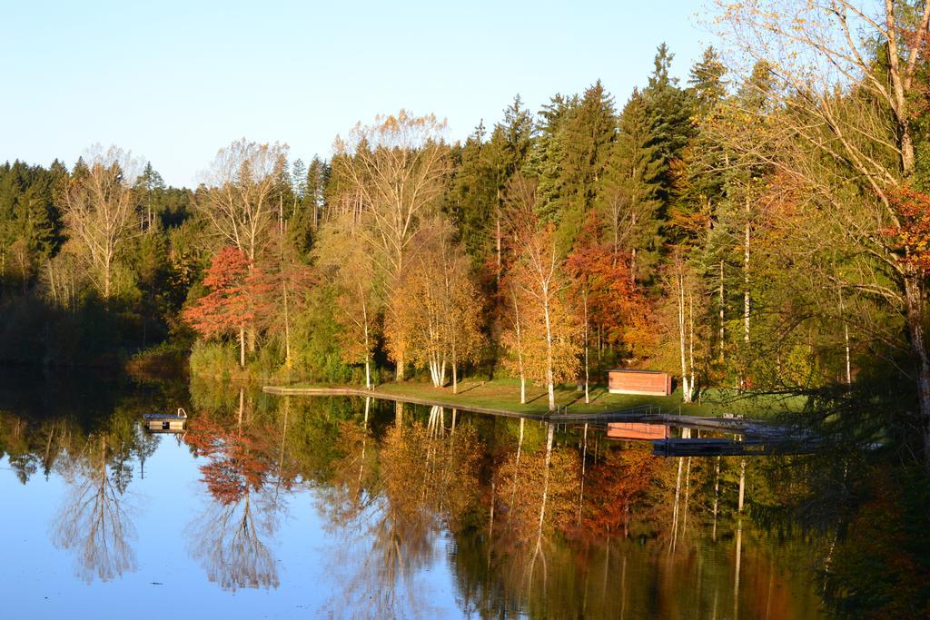 Hotel Waldsee Lindenberg im Allgau Εξωτερικό φωτογραφία
