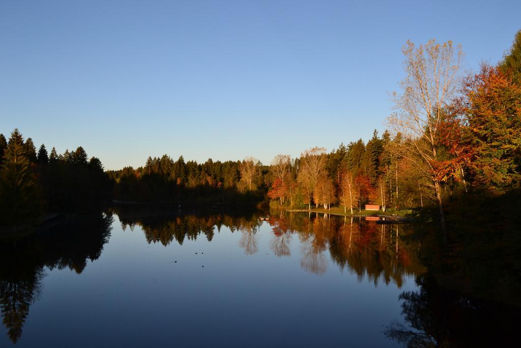 Hotel Waldsee Lindenberg im Allgau Εξωτερικό φωτογραφία