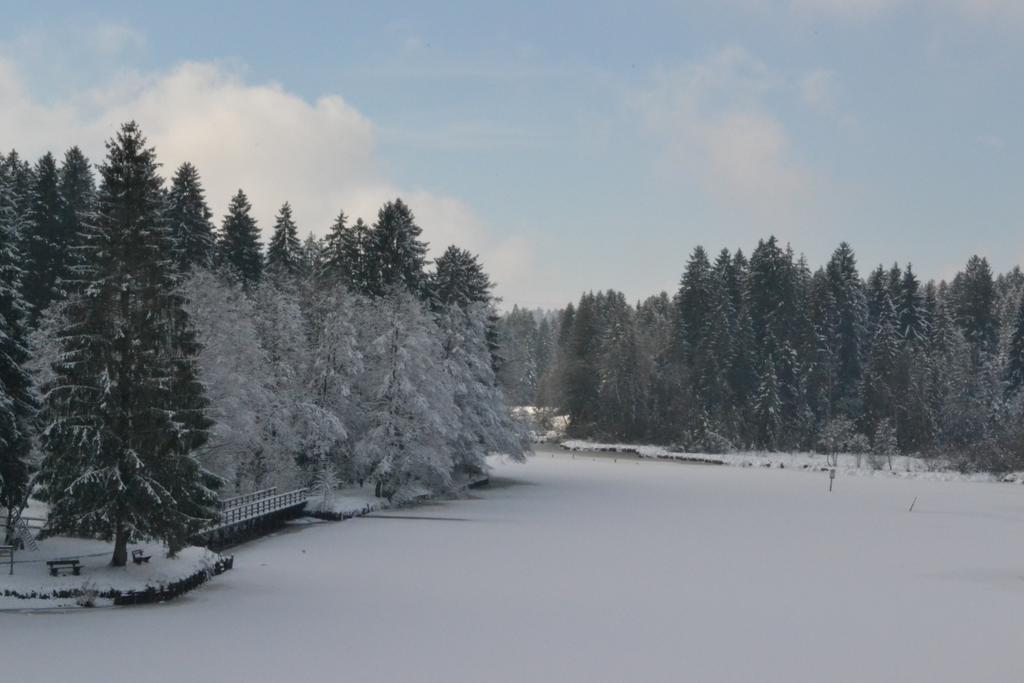 Hotel Waldsee Lindenberg im Allgau Εξωτερικό φωτογραφία