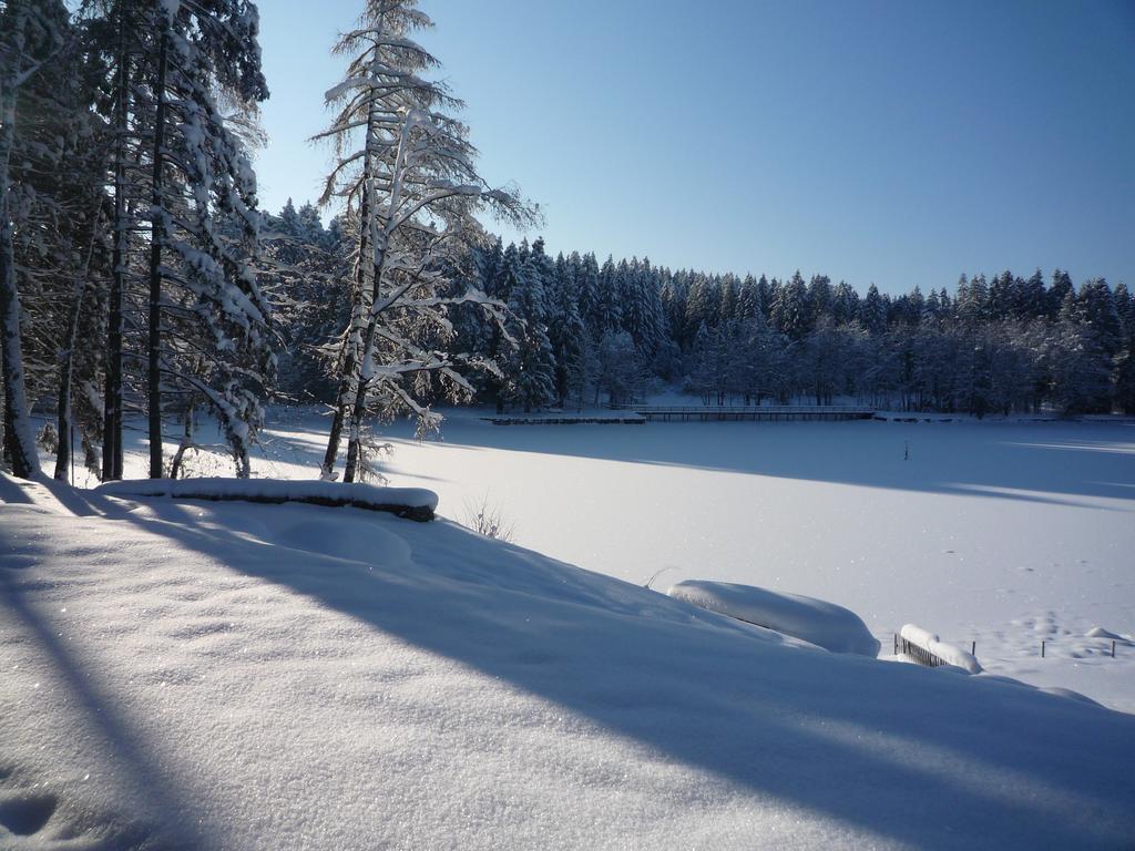 Hotel Waldsee Lindenberg im Allgau Εξωτερικό φωτογραφία