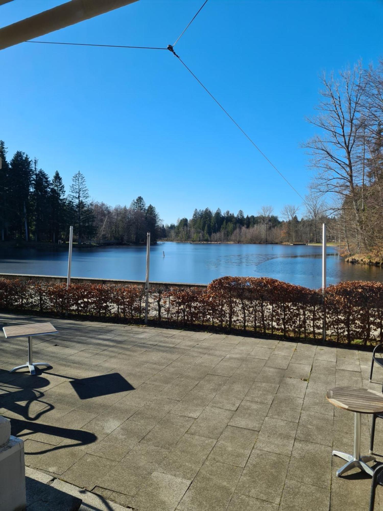 Hotel Waldsee Lindenberg im Allgau Εξωτερικό φωτογραφία