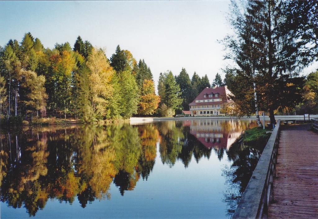 Hotel Waldsee Lindenberg im Allgau Εξωτερικό φωτογραφία